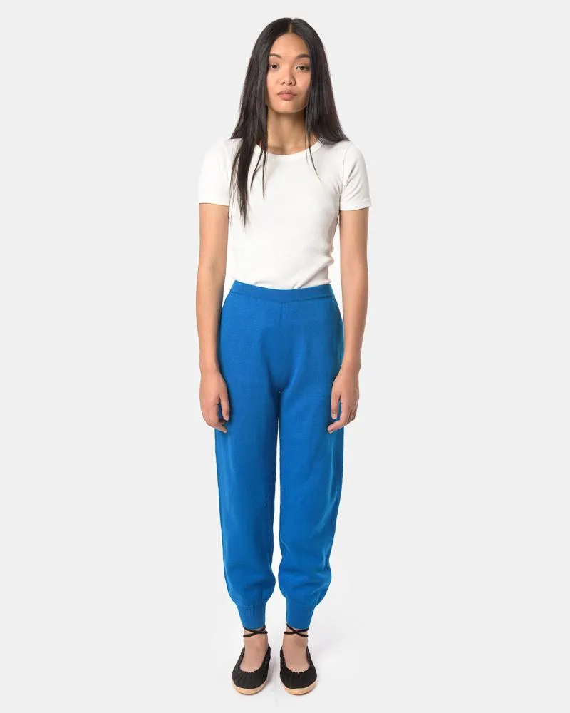 Collins Pants in Blue