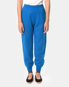 Collins Pants in Blue