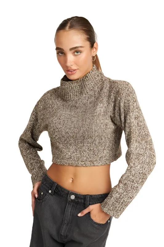 Contrasted Turtle Neck Crop Top