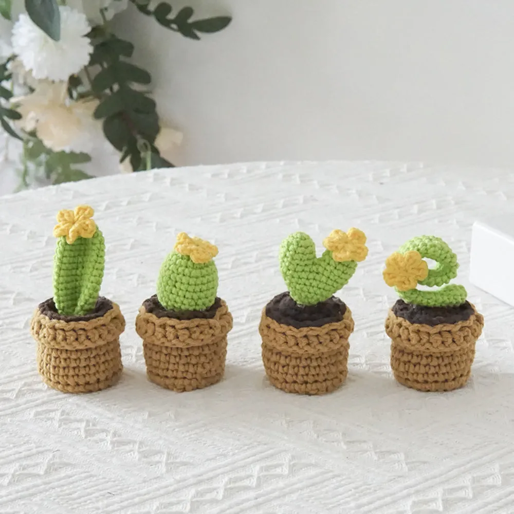 Love Handmade Crochet Completed Hand Woven Knitted Potted Plants Gift for Handicraft Lover