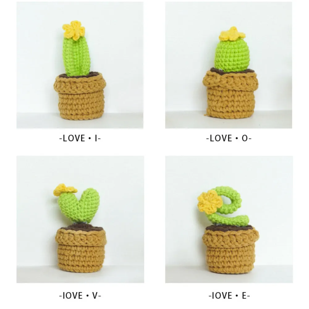 Love Handmade Crochet Completed Hand Woven Knitted Potted Plants Gift for Handicraft Lover