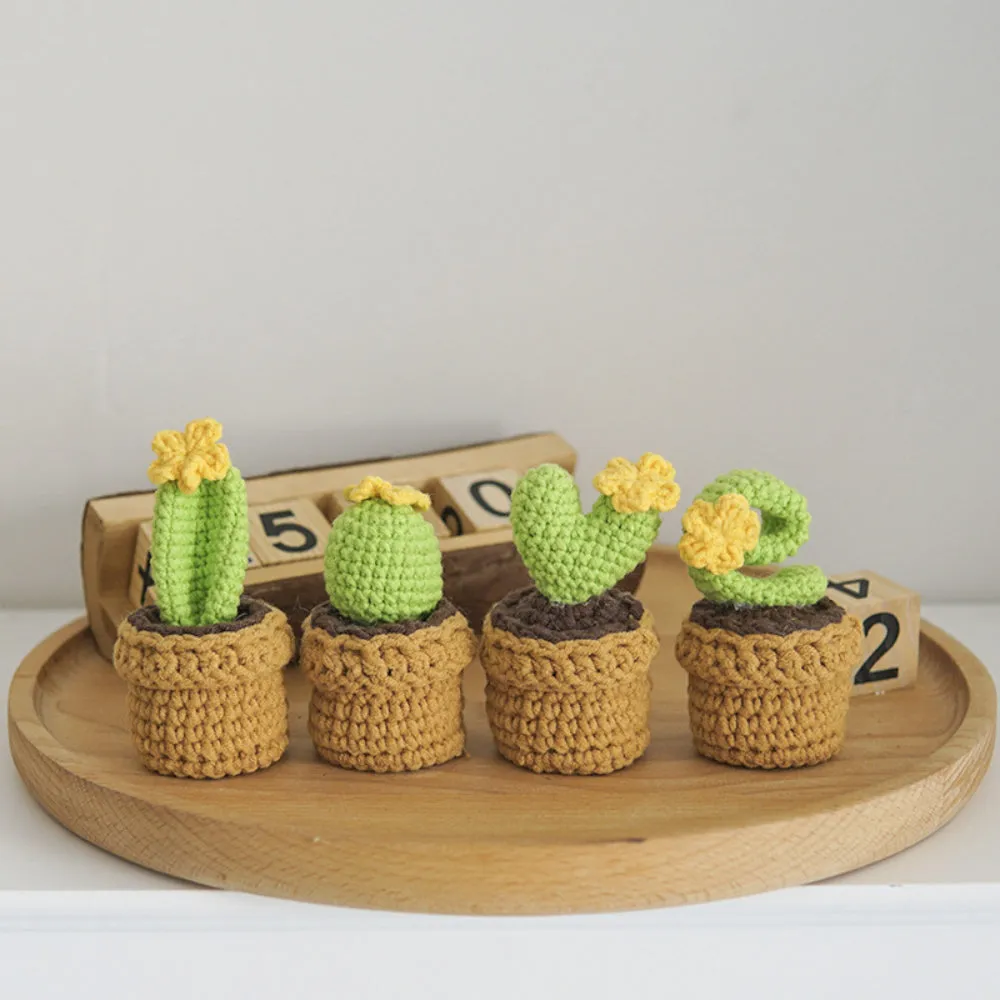 Love Handmade Crochet Completed Hand Woven Knitted Potted Plants Gift for Handicraft Lover